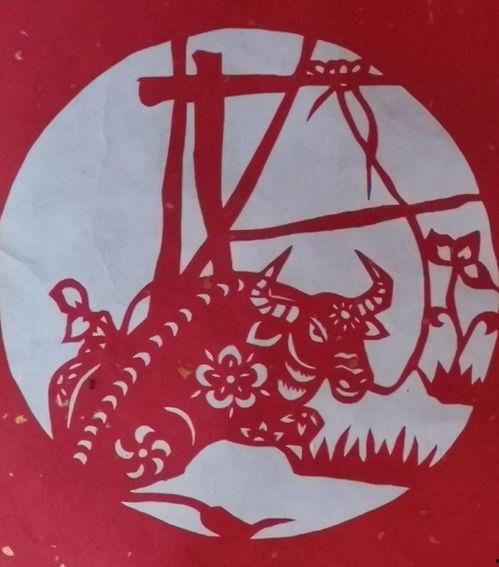 窗花在线观看,感受传统民俗魅力  第1张